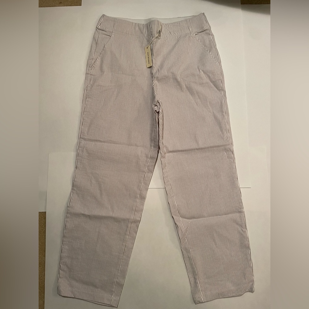 Max Studio striped pants